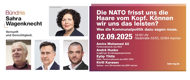 Die NATO frisst uns die Haare vom Kopf. Können wir uns das leisten?